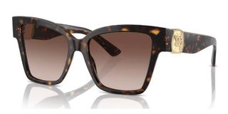 Dolce & Gabbana DG 4470 women Havana Butterfly Sunglasses