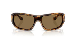 Dolce & Gabbana DG 4486 men Havana Oval Sunglasses