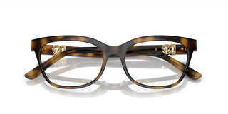 Dolce & Gabbana DG 5106U women Havana Butterfly Eyeglasses