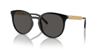 Dolce & Gabbana DG 6189U women Black Pantos Sunglasses