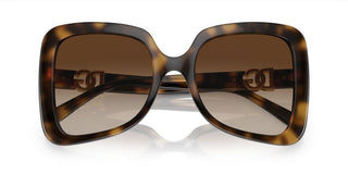 Dolce & Gabbana DG 6193U women Havana Butterfly Sunglasses