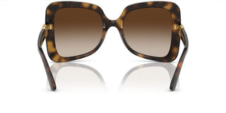 Dolce & Gabbana DG 6193U women Havana Butterfly Sunglasses