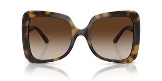 Dolce & Gabbana DG 6193U women Havana Butterfly Sunglasses