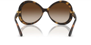 Dolce & Gabbana DG 6194U women Havana Geometric Sunglasses