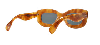 Garrett Leight DOLORES SUN women Havana Cat Eye Sunglasses