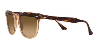 Ray-Ban EAGLEEYE RB 2398 unisex Havana Squared Sunglasses