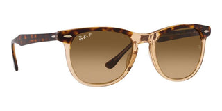 Ray-Ban EAGLEEYE RB 2398 unisex Havana Squared Sunglasses