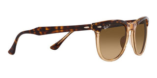 Ray-Ban EAGLEEYE RB 2398 unisex Havana Squared Sunglasses