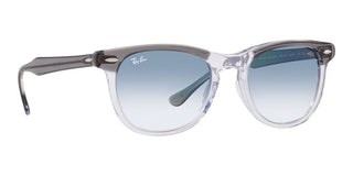 Ray-Ban EAGLEEYE RB 2398 unisex Grey Squared Sunglasses