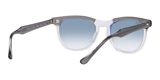 Ray-Ban EAGLEEYE RB 2398 unisex Grey Squared Sunglasses