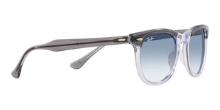 Ray-Ban EAGLEEYE RB 2398 unisex Grey Squared Sunglasses