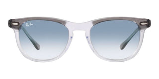 Ray-Ban EAGLEEYE RB 2398 unisex Grey Squared Sunglasses