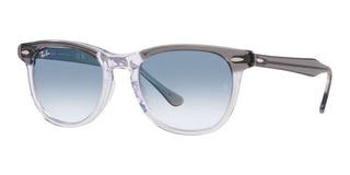 Ray-Ban EAGLEEYE RB 2398 unisex Grey Squared Sunglasses