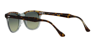 Ray-Ban EAGLEEYE RB 2398 unisex Havana Squared Sunglasses