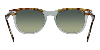 Ray-Ban EAGLEEYE RB 2398 unisex Havana Squared Sunglasses