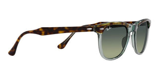 Ray-Ban EAGLEEYE RB 2398 unisex Havana Squared Sunglasses