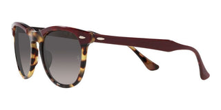 Ray-Ban EAGLEEYE RB 2398 unisex Havana Squared Sunglasses