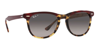 Ray-Ban EAGLEEYE RB 2398 unisex Havana Squared Sunglasses