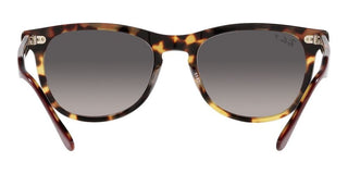 Ray-Ban EAGLEEYE RB 2398 unisex Havana Squared Sunglasses