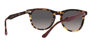 Ray-Ban EAGLEEYE RB 2398 unisex Havana Squared Sunglasses