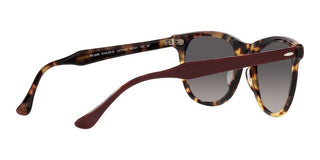 Ray-Ban EAGLEEYE RB 2398 unisex Havana Squared Sunglasses