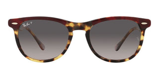 Ray-Ban EAGLEEYE RB 2398 unisex Havana Squared Sunglasses