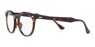 Ray-Ban EAGLEEYE RX 5598 unisex Brown Geometric Eyeglasses