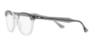 Ray-Ban EAGLEEYE RX 5598 unisex Grey Geometric Eyeglasses