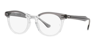 Ray-Ban EAGLEEYE RX 5598 unisex Grey Geometric Eyeglasses