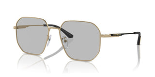 Emporio Armani EA 2154D men Gold Pilot Sunglasses