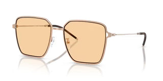 Emporio Armani EA 2159D women Rose gold Visor Sunglasses