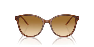 Emporio Armani EA 4220 women Brown Cat Eye Sunglasses