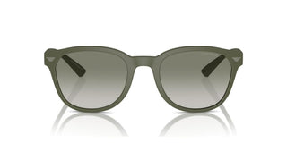 Emporio Armani EA 4225U men Green Pantos Sunglasses