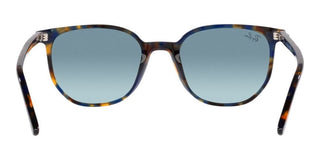 Ray-Ban ELLIOT RB 2197 unisex Havana Geometric Sunglasses