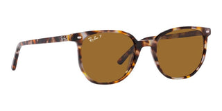 Ray-Ban ELLIOT RB 2197 unisex Brown Geometric Sunglasses