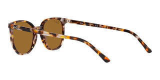 Ray-Ban ELLIOT RB 2197 unisex Brown Geometric Sunglasses