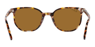 Ray-Ban ELLIOT RB 2197 unisex Brown Geometric Sunglasses