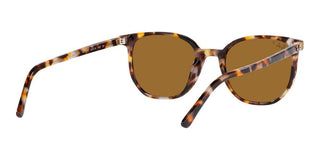 Ray-Ban ELLIOT RB 2197 unisex Brown Geometric Sunglasses