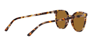 Ray-Ban ELLIOT RB 2197 unisex Brown Geometric Sunglasses