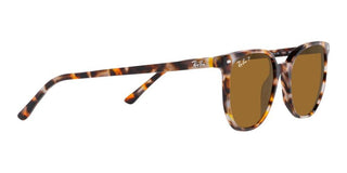 Ray-Ban ELLIOT RB 2197 unisex Brown Geometric Sunglasses