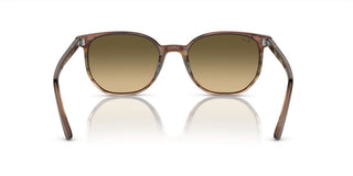 Ray-Ban ELLIOT RB 2197 unisex Brown Geometric Sunglasses