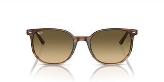 Ray-Ban ELLIOT RB 2197 unisex Brown Geometric Sunglasses