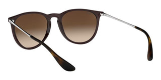 Ray-Ban Rubber ERIKA RB 4171 unisex Brown Round Sunglasses