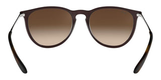 Ray-Ban Rubber ERIKA RB 4171 unisex Brown Round Sunglasses