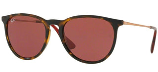 Ray-Ban Rubber ERIKA RB 4171 unisex Havana Round Sunglasses