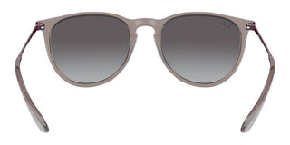 Ray-Ban Rubber ERIKA RB 4171 women Grey Round Sunglasses