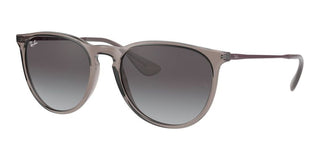 Ray-Ban Rubber ERIKA RB 4171 women Grey Round Sunglasses