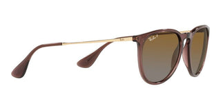 Ray-Ban Rubber ERIKA RB 4171 women Brown Round Sunglasses