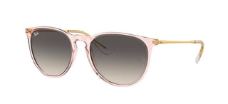 Ray-Ban Rubber ERIKA RB 4171 women Pink Round Sunglasses