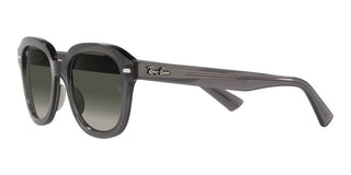 Ray-Ban ERIK RB 4398 unisex Grey Geometric Sunglasses